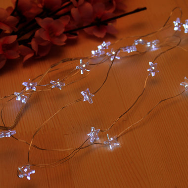 String Novelty Lights