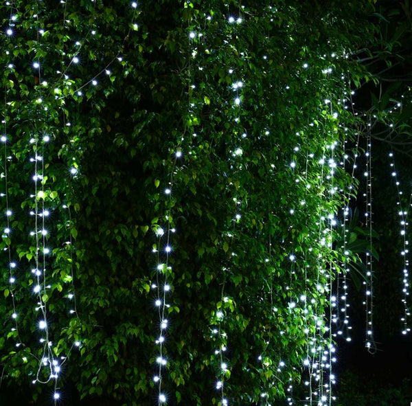 Wedding Fairy String Light
