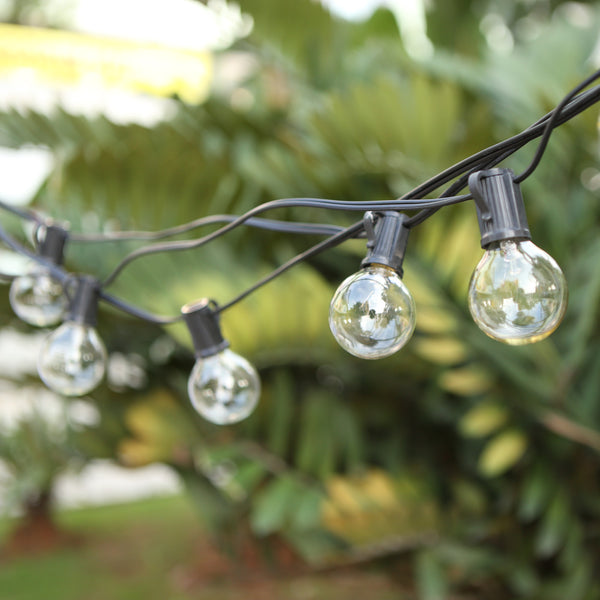 Clear Globe Bulbs Lights