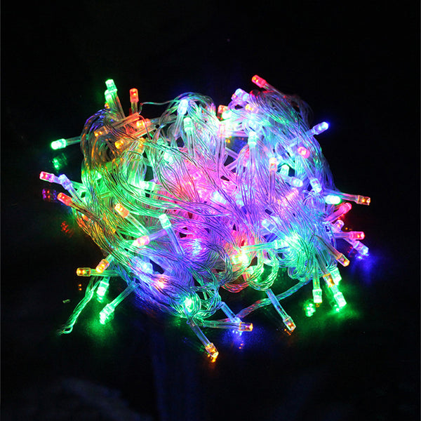 Fairy Light Holiday Decoration