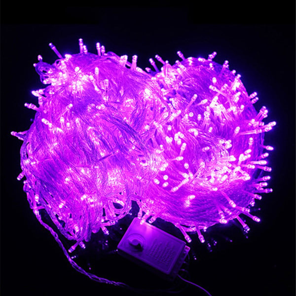 Fairy Light Holiday Decoration