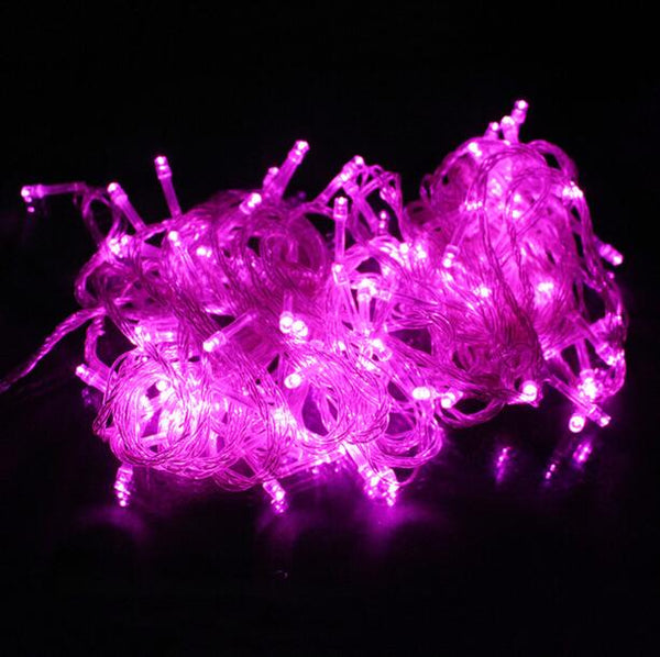 Fairy Light Holiday Decoration