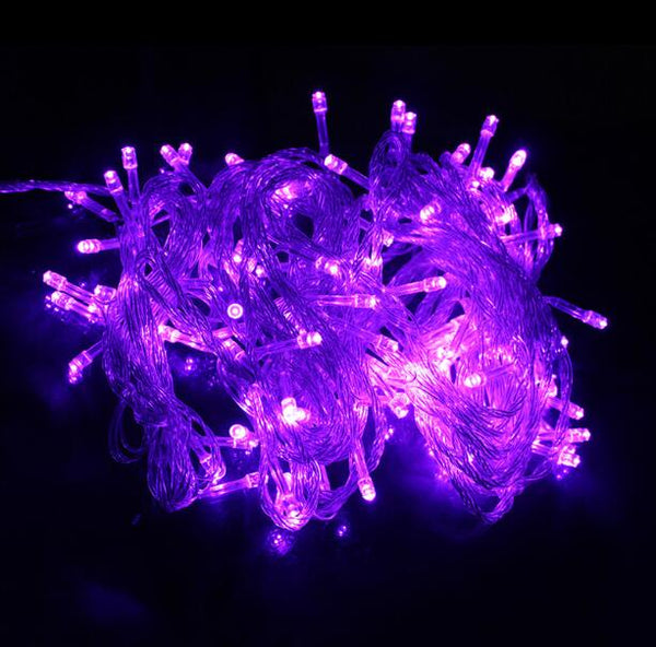 Fairy Light Holiday Decoration