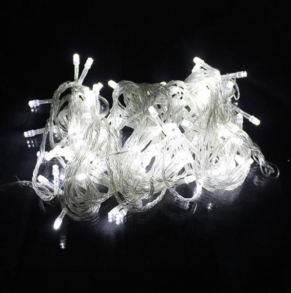 Fairy Light Holiday Decoration